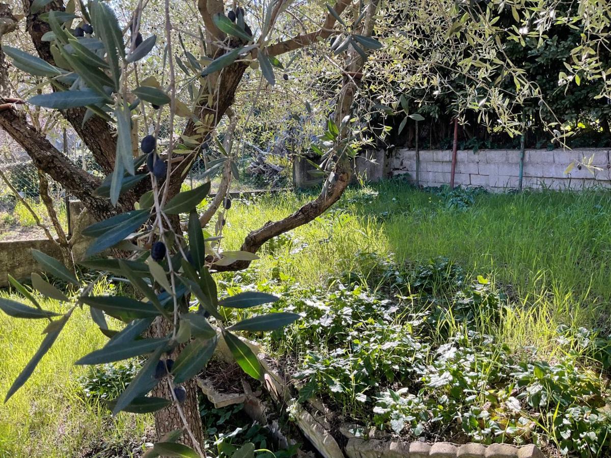 פורטו סן ג'ורג'יו Ubika Hotel מראה חיצוני תמונה