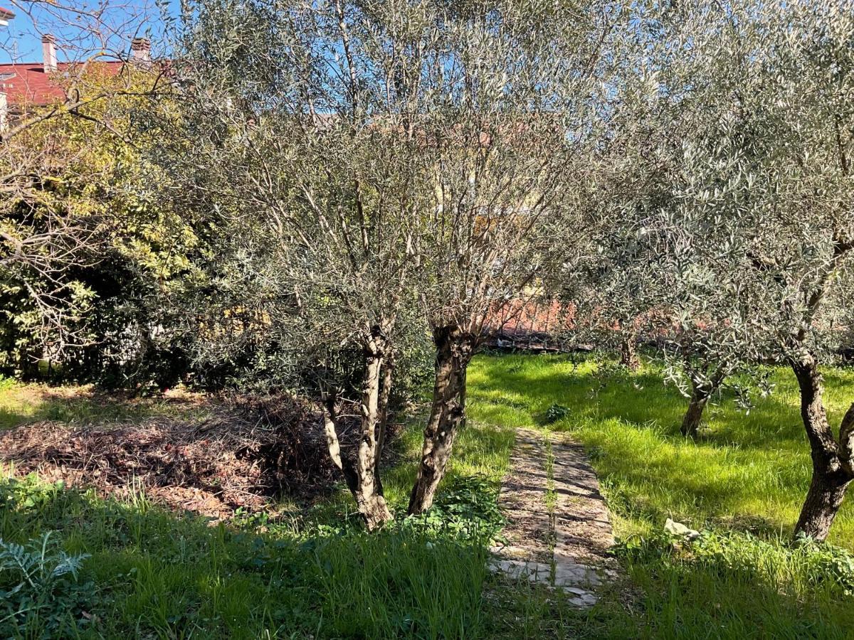 פורטו סן ג'ורג'יו Ubika Hotel מראה חיצוני תמונה
